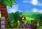 Donkey Kong Time Attack